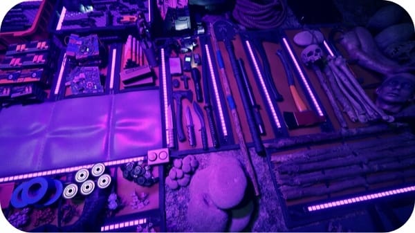 Sons of the Forest Steam PC