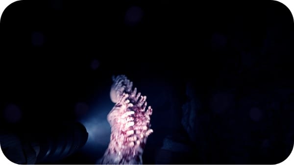 Tryb kooperacji Sons of the Forest